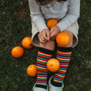 Lamington Merino Wool Knee High Socks | CHILD | Jester